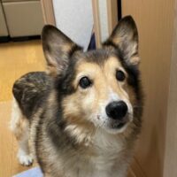 アバター画像